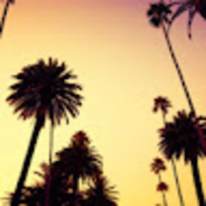 Meet your Posher, Dylan